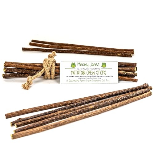 Meowy Janes Extra Long Matatabi Chew Sticks - 2X Length - an All Natural Silvervine Cat Toy and Cat Treat - Catnip Alternative