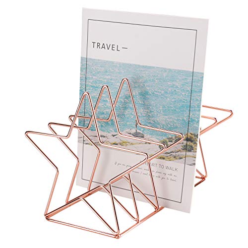 Nugorise File Sorter, Wire 5 Slot Magazine Holder Rack, Decorative Desk Office Supplies Organizer for Mail, Folder, Magazine, Book and More, Rose Gold