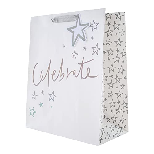 Hallmark Grand sac cadeau multi-occasions – Motif holographique