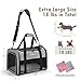 Chuzhong Airline Approved Pet Carrier for Cats & Small Dogs (Up to 18 Lbs) - Soft Sided Travel Carrier with Washable Pad (Grey)