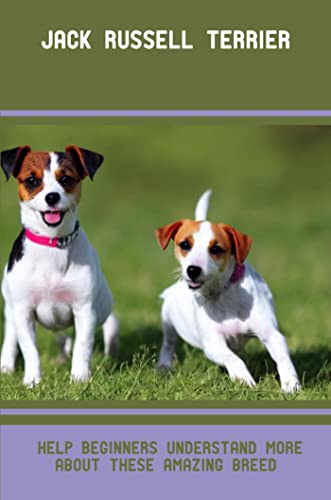  Jack Russell Terrier: Help Beginners Understand More About These Amazing Breed (English Edition)
