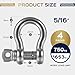 AIROW 316 Stainless Steel D Ring Bow Shackles, Heavy Duty Marine Grade D-Ring Anchor Shackles with Secure Screw Pin, Boat Anchor Chain Connector for Marine, Sailboat, Outdoor, Towing, 5/16