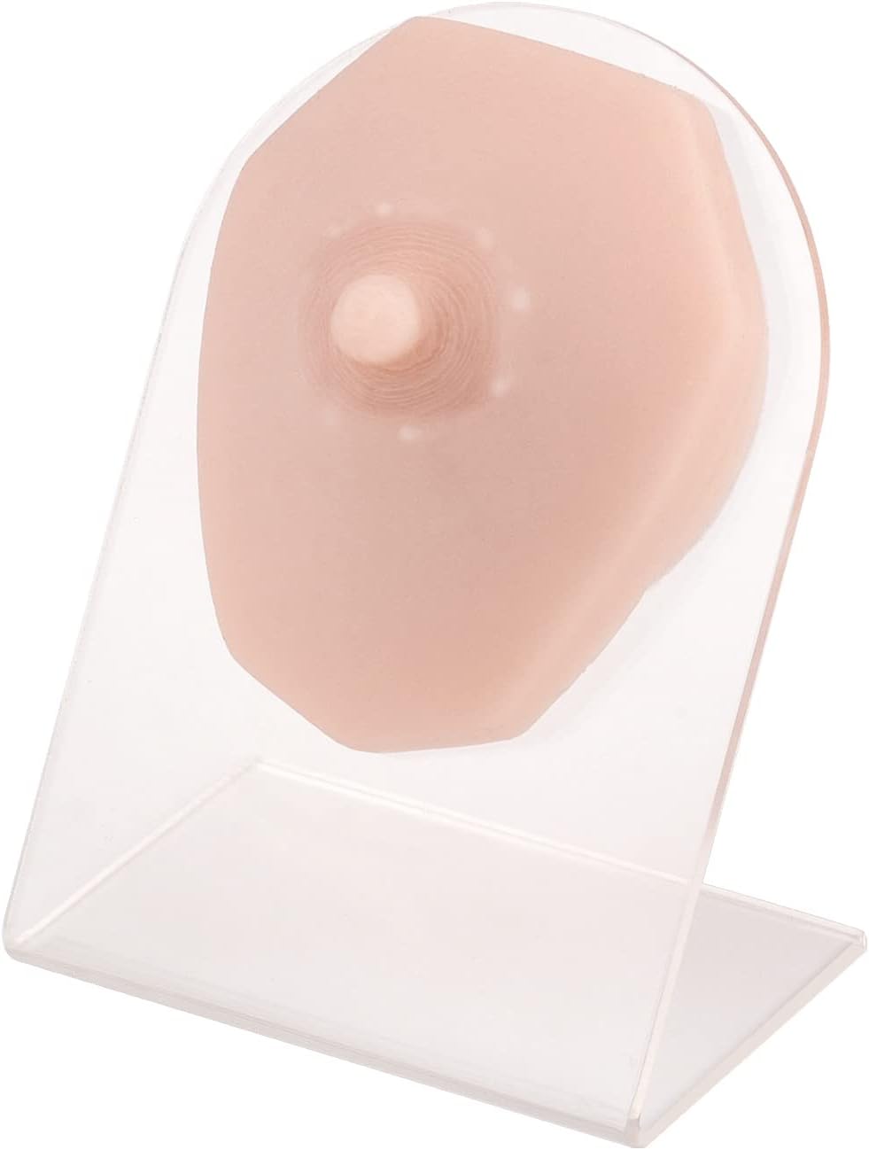 SimCoachSoft Silicone Piercing Model with Acrylic Stand, Piercing Practice Body Parts, Flexible Mold for Jewelry Display
