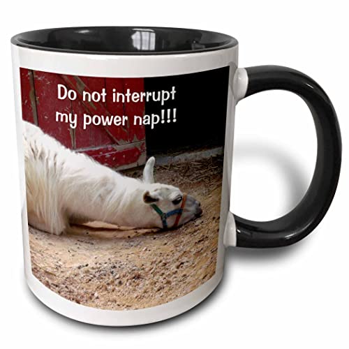 3dRose White Sleeping Llama Taking a Nap 11oz Two-Tone Black Mug