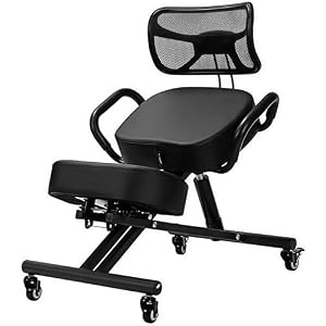 Andula姿勢サポート バランスチェア ニーリングチェア 学習椅子 デスクチェア 人間工学 オフィスチェア 高さ調節可能 キャスター付き 北欧風 在宅ワーク 勉強用 子供・大人兼用 (ブラック)