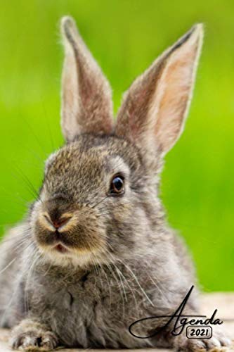 Agenda 2021: Lapin | Janvier à Décembre 2021 | Agenda annuel semainier, Format A5 | 12 mois | Pour les étudiants, professionnels et particuliers | ... de contacts, notes, ... (French Edition)