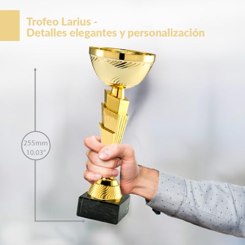 Miniatura 5 de Trofeo Larius Premio De Honor Classic Cup - Trofeo De Reconocimiento Con Sin Grabado Sin Texto Personalizado, Xl