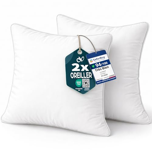 Coussin Canape 45x45 Lot de 2 Oreillers Decoratif Accessoires pour Sofa Decoration Aesthetic pour Salon et Exterieur Antiallergiques et Anti-Acariens avec Taie...