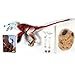Everything Dinosaur Beasts of The Mesozoic Raptor Series Limited Edition Velociraptor osmolskae (Alpha)