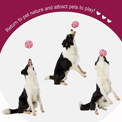 Image of EETOYS Petlicious and More Dog Latex Squeaky Pie Toy (Medium)