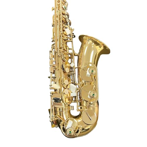 Image of Yinfente E Flat Alto Saxophone For Adult Beginners,Saxophone Student,Eb Alto Sax Full Kit With Reeds,Pads Cushions,Neck Strap,Hard Carrying Case,Mouthpiece,Cleaning Cloth & Rod,Gloves