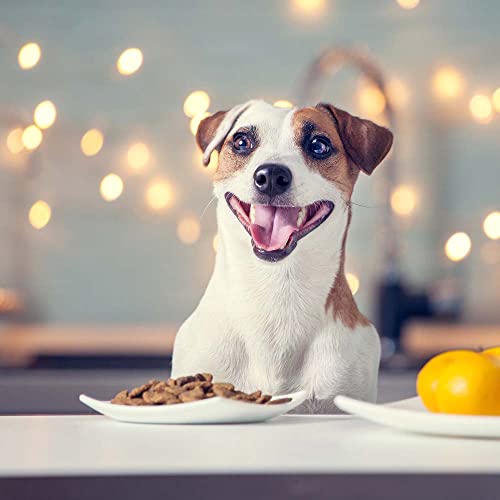 Natural Balance Platefulls Wet Dog Food 3 Flavor Sampler - (1) Each: Tender Beef Potato, Harvest Chicken Rice, Savory Duck Pumpkin (9 Ounces) - Plus Rope Toy And Fun Facts Booklet Bundle #TOP6