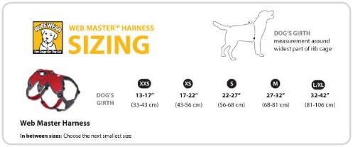 RUFFWEAR - Web Master, Multi-Use Support Dog Harness, Hiking and Trail Running, Service and Working, Everyday Wear, Red Currant, Medium