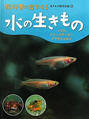 水の生きもの メダカ アメリカザリガニ アマガエルなど 教科書に出てくる生きもの観察図鑑 輝之 小宮 本 通販 Amazon