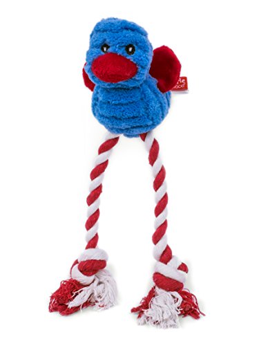 Little Petface Juguete con Patas largas de Cuerda Perros