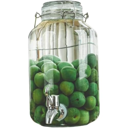 FiveLn ~ r KXт ʎт 2L/3L/4L/5L eʐHiۑe KX r e LjX^[ R[q[ t ۑe ʎ Â (4L,p^ + ֌) [sAi]