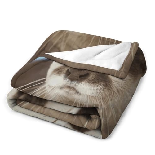 Couverture microfibre loutre extra large flanelle douce lit canapé - 4