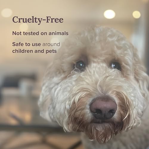 Magnificent-101-Set-of-3-Long-Lasting-Palo-Santo-Smudge-Candles-42-Hour-Burn-35-Oz-Each-Made-with-Soy-Wax-and-Herb-Ideal-for-House-Energy-Cleansing-Meditation-Manifestation Magnificent 101 Set of 3 Long Lasting Palo Santo Smudge Candles 42 Hour Burn 35 Oz Each Made with Soy Wax and Herb Ideal for House Energy Cleansing Meditation Manifestation