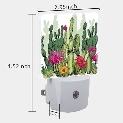 Image of Green Succulents and Cactus Plants Night Light Plug into Wall with Dusk to Dawn Sensor Cute Nightlight for Kid Girls Boys Women Men Room Decor, Hallway, Kitchen, Bathroom, Nursery, Stairs