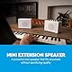 Carry-on Mini-Erweiterungs-Lautsprecher, 3 Watt, Mini-Lautsprecher, kompakt, 3 Watt, tragbarer Mini-Combo-Verstärker
