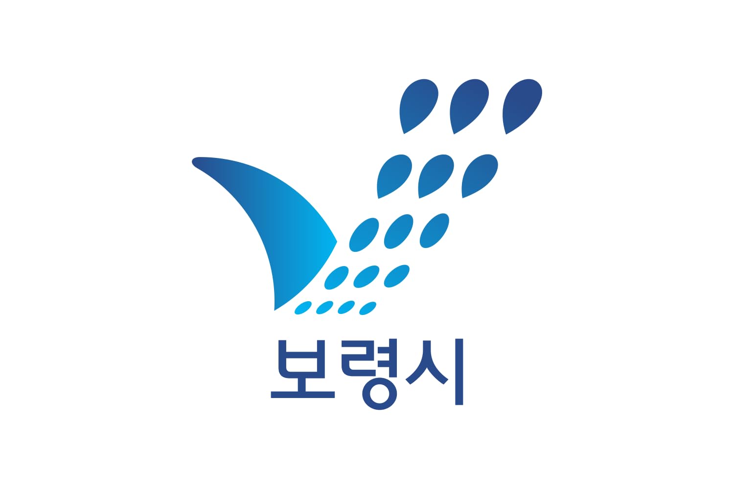 Drapeau Large Boryeong pour décorer un salon aux couleurs de la Corée