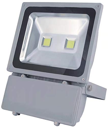 LED floodlight Indoor or Outdoor Security Light Warm/Cool White, High Power Landscape Lights, Waterproof IP65,10/20/30/50/100W (Warm White(3000K), 100W)