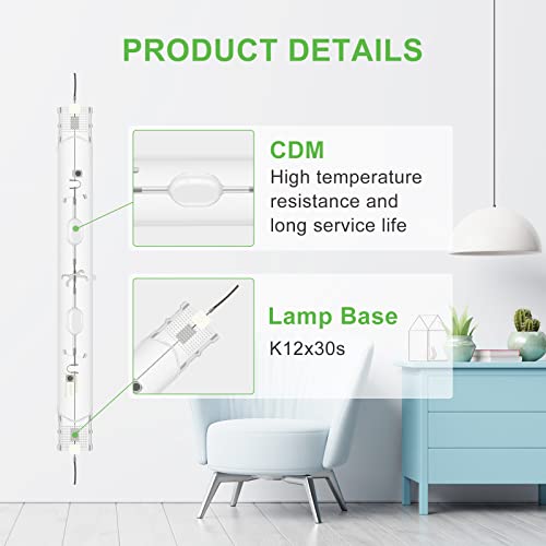 Discover the Top 11 Citrus Grow Lights for a Thriving Harvest