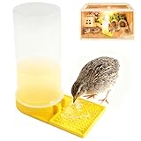 Mangeoire à eau de caille de grande capacité, multi-usage comme mangeoire à caille, abreuvoir pour bébé oiseau (A1)