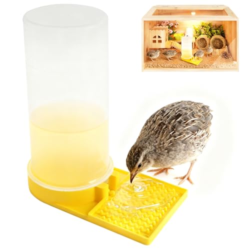 Large Capacity Quail Water Feeder,Button Quail Supplies...
