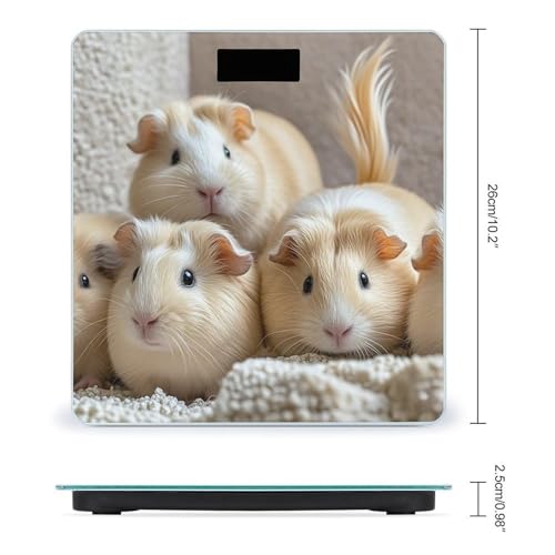 Báscula digital para baño en vidrio templado compacta miniatura 2