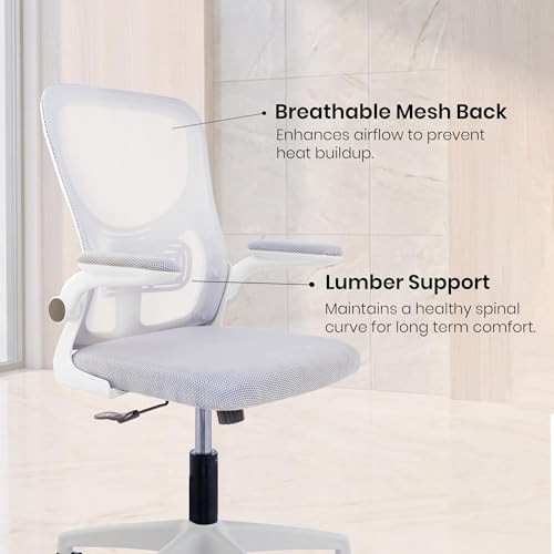 Image of Casa Copenhagen Grey White | Mid Back Imported Mesh Fabric Boss Office Chair | Y Design Ergonomic Back Support | 2D Aero Design Adjustable Armrests | Synchro Tilt Lock Mechanism | Adjustable Lumbar