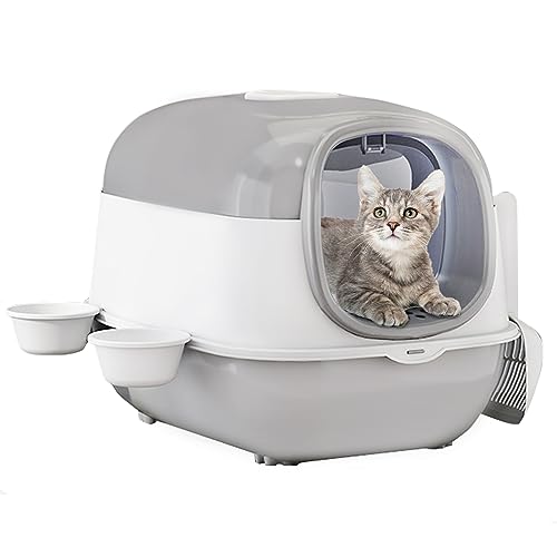 Find The Best Easy Clean Litter Box Reviews & Comparison Katynel