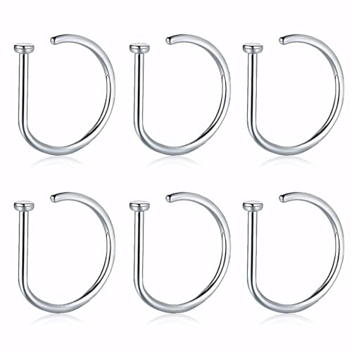 EIHI Anelli al Naso in Acciaio Inossidabile - Confezione da 6, Inclusi Anelli Nasolabiali e Finti, Unisex