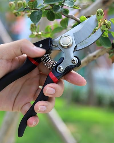 Tijeras de Podar de Acero Inoxidable para Jardín miniatura 3