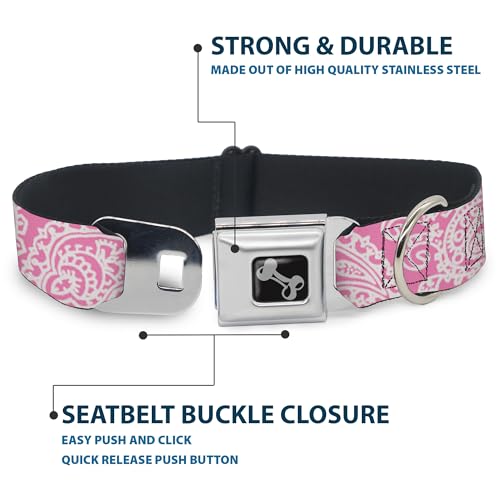 Collier de chien en forme d'os Buckle Down finition soignée pour petit chien