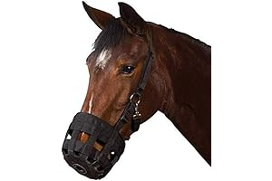 Horse Grazing Muzzle Ensures Comfort and Ease for Large Horses