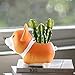 Anpatio Corgi Succulent Planter Mini Resin Animal Plant Pot Creative Pen Pencil Brush Holder Lovely Carton Desktop Flowerpot Fairy Christmas Garden Home Office School Gift Garden Decoration Set of 2