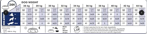 Royal Canin Maxi Adult