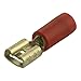 Price comparison product image Blade Receptacles Terminals Width 4.8 mm, Thickness: 0.5 mm, Nominal size 1 mm² Red Pack of 100