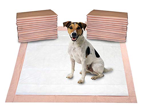 Mednet Direct Absorbent Pet Training and Puppy Pads for Dogs and Pets, XXL-Large