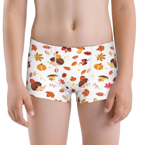 Boys' Cotton Boxer Brief Soft Underwear-Autumn Maple Leaf With Hedgehog