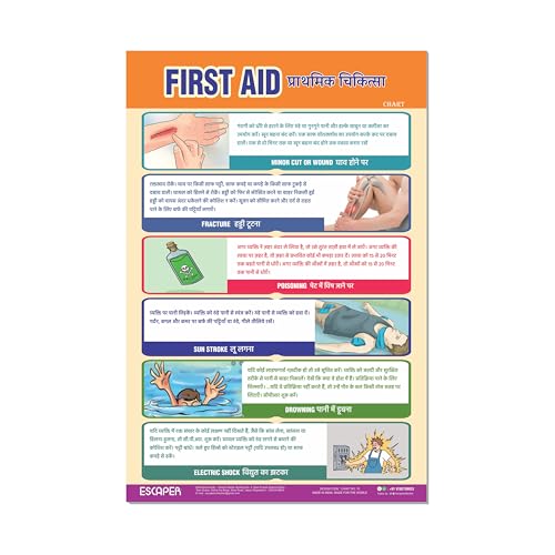 Image of ESCAPER First Aid Educational Charts (11.5 x 17.5 Inches), 300 GSM Paper, Laminated, Self Adhesive Back, Kids Learning Posters, Perfect For Home Schooling, Nursery Students