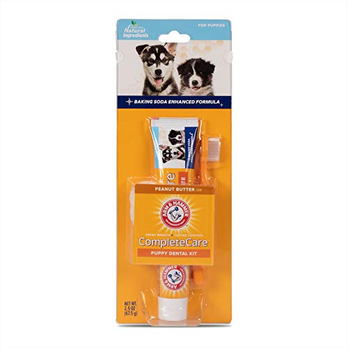 Top 10 Best Dog Toothpaste For Puppies Reviews & Buying Guide Katynel