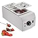 WICHEMI Chocolate Tempering Machine Chocolate Melter Chocolate Melting Pot 2 Tanks 9lbs Stainless Steel Chocolate Warmer Melting Machine Home Or Bakery Use