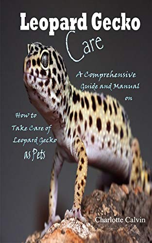 leopard gecko store