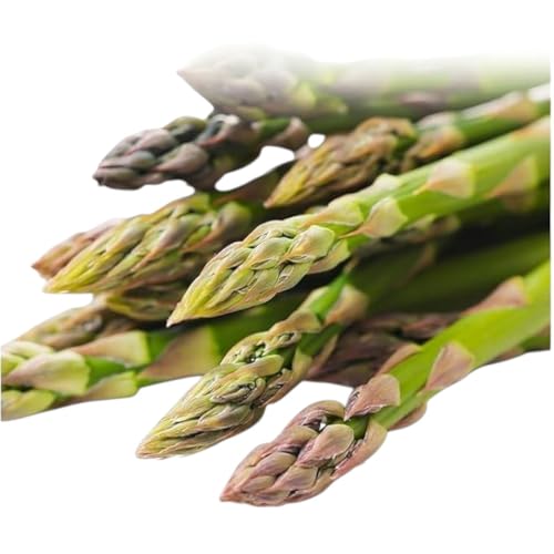 [ 2026年 発送 ] 北海道産 グリーン アスパラガス 約 900g S - L サイズ混合 アスパラガス アスパラ 旬 朝採り 新鮮 お取り寄せ 野菜 農作物 詰め合わせ 国産 しりべしや ニセコファーム 北海道