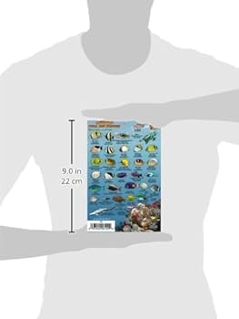 Franko's Hawaiian Islands Mini Fish Card: Franko's Maps