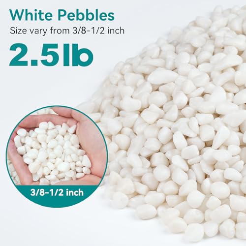 Image of 2.5 lbs Small White Rocks for Planters, 3 /8 inch White Pebbles for Vases, Decorative Small Stones for Plants, Succulents, Bamboo, Terrarium, Landscape, Garden
