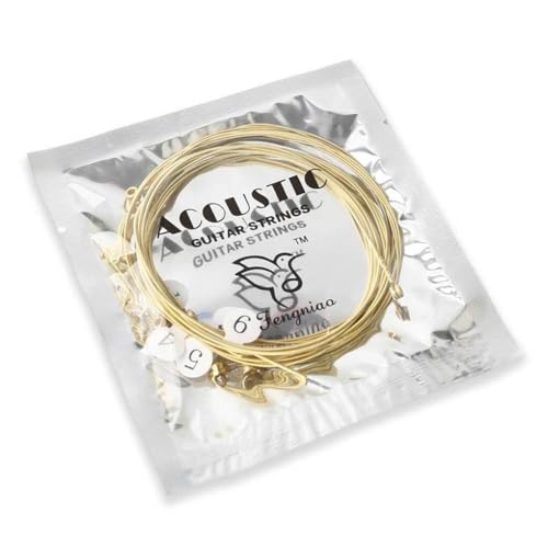 QUXVUIS 6s[XM^[LbgpZpRANVbNypiZbgS҃eB[GCW[