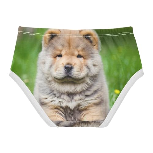 Chow Puppy Dog Grass Panties for Girl Toddler Girls Underwear Cotton Stylish Briefs Girls Undies 2t2